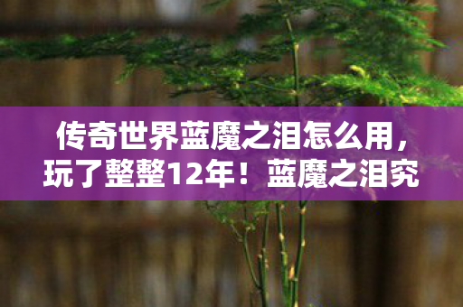 传奇世界蓝魔之泪怎么用,玩了整整12年!蓝魔之泪究竟该继续坚守还是彻底放手? 传奇世界蓝魔之泪怎么用,玩了整整12年!蓝魔之泪究竟该继续坚守还是彻底放手?