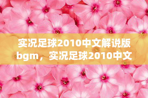实况足球2010中文解说版bgm,实况足球2010中文解说暗藏悬案,绿茵场上的毛骨悚然线索 实况足球2010中文解说版bgm,实况足球2010中文解说暗藏悬案,绿茵场上的毛骨悚然线索