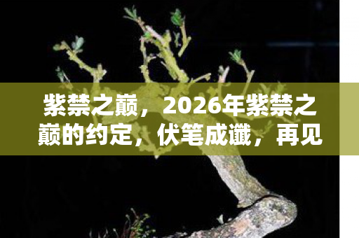 紫禁之巅,2026年紫禁之巅的约定,伏笔成谶,再见时为何鼻子一酸? 紫禁之巅,2026年紫禁之巅的约定,伏笔成谶,再见时为何鼻子一酸?