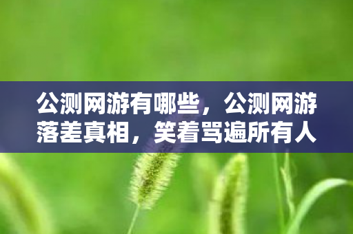 公测网游有哪些，公测网游落差真相，笑着骂遍所有人，笑着笑着就哭了