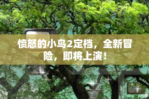 愤怒的小鸟2定档图片