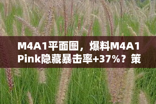 M4A1平面图，爆料M4A1 Pink隐藏暴击率+37%？策划不敢说的5大数值黑幕！