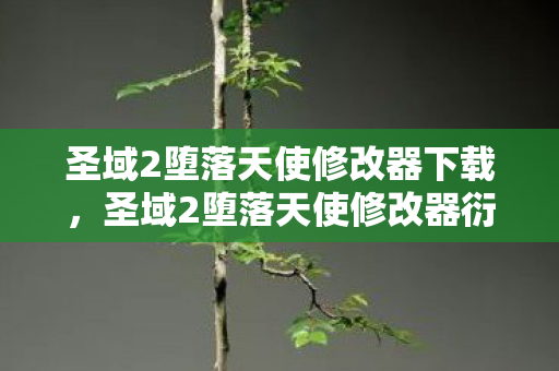 圣域2堕落天使修改器下载，圣域2堕落天使修改器衍生10W+数据破圈！游戏元素竟成综艺时尚新宠
