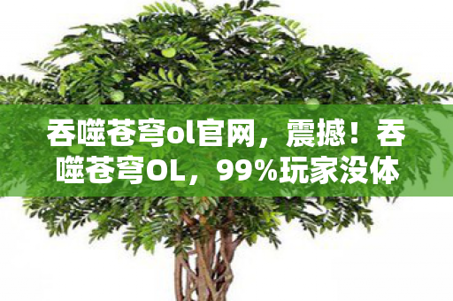 吞噬苍穹ol官网，震撼！吞噬苍穹OL，99%玩家没体验过的3大逆天玩法，爽到飞起！