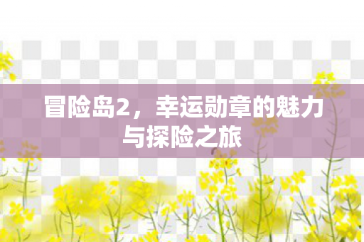 幸运勋章的魅力与探险之旅图片