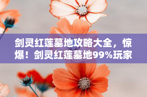 剑灵红莲墓地攻略大全，惊爆！剑灵红莲墓地99%玩家卡关点，通关秘籍竟藏在这？