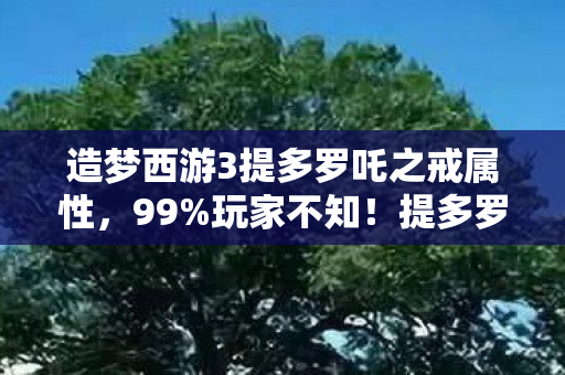 造梦西游3提多罗吒之戒属性，99%玩家不知！提多罗吒之戒竟藏2027年逆天反转？