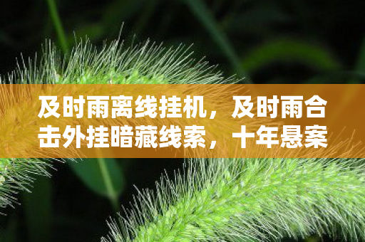 及时雨离线挂机，及时雨合击外挂暗藏线索，十年悬案背后毛骨悚然真相
