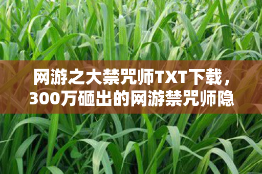 网游之大禁咒师TXT下载,300万砸出的网游禁咒师隐情!离职老兵拍桌怒吼,这方案早该枪毙! 网游之大禁咒师TXT下载,300万砸出的网游禁咒师隐情!离职老兵拍桌怒吼,这方案早该枪毙!