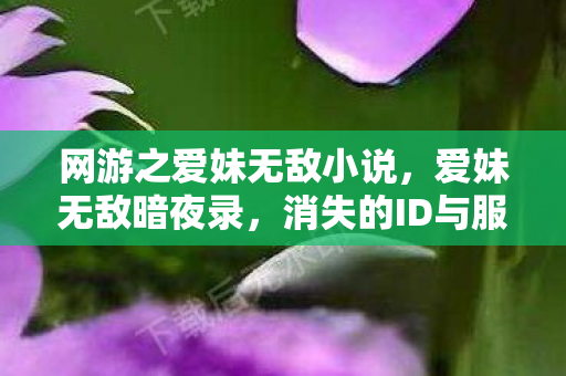 网游之爱妹无敌小说,爱妹无敌暗夜录,消失的ID与服务器深处永不闭合的瞳孔 网游之爱妹无敌小说,爱妹无敌暗夜录,消失的ID与服务器深处永不闭合的瞳孔