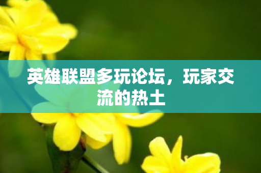英雄联盟多玩论坛图片