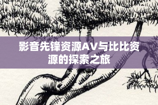 影音先锋资源AV与比比资源的探索之旅图片
