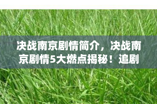 决战南京剧情简介，决战南京剧情5大燃点揭秘！追剧心得+避坑指南一键get