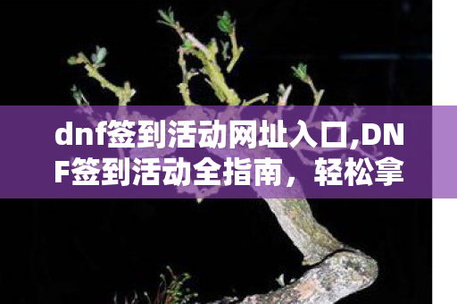 dnf签到活动网址入口,DNF签到活动全指南，轻松拿满周期福利的实用攻略