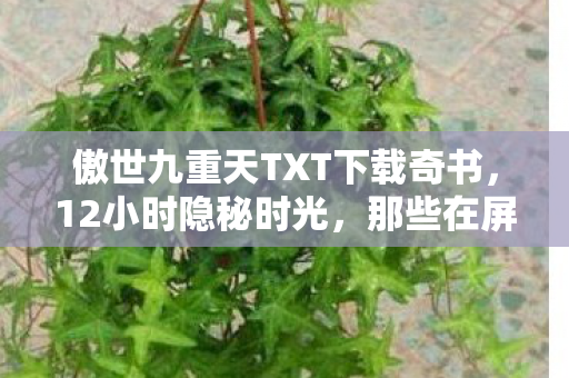 傲世九重天TXT下载奇书，12小时隐秘时光，那些在屏幕前哽咽的青春碎片
