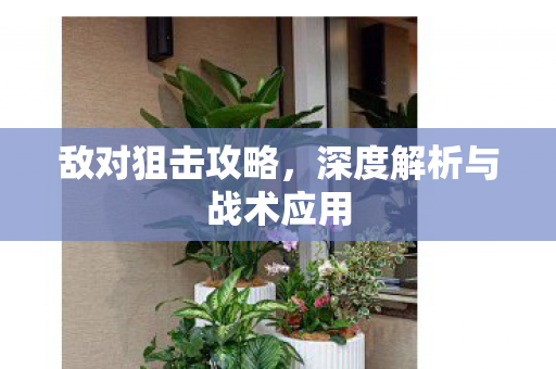 深度解析与战术应用图片