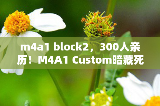m4a1 block2，300人亲历！M4A1 Custom暗藏死亡准星？网吧老炮，这波我直接绷不住