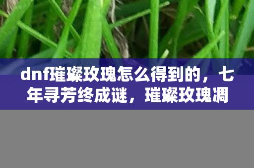 dnf璀璨玫瑰怎么得到的，七年寻芳终成谜，璀璨玫瑰凋零时泪目