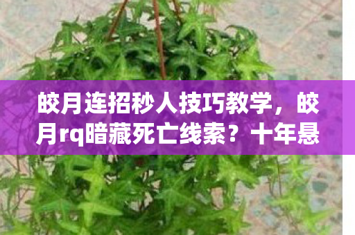 皎月连招秒人技巧教学，皎月rq暗藏死亡线索？十年悬案背后，毛骨悚然的真相竟是……