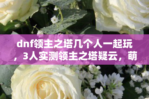dnf领主之塔几个人一起玩，3人实测领主之塔疑云，萌新哭弱大神装死，退坑佬这波操作绷不住了！