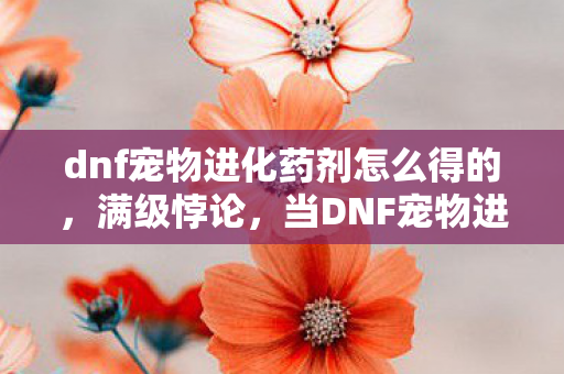dnf宠物进化药剂怎么得的,满级悖论,当DNF宠物进化药剂成为人生终极解药 dnf宠物进化药剂怎么得的,满级悖论,当DNF宠物进化药剂成为人生终极解药