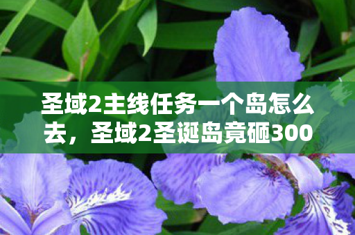 圣域2主线任务一个岛怎么去,圣域2圣诞岛竟砸3000万做废玩法?隐情曝光后我吓一跳! 圣域2主线任务一个岛怎么去,圣域2圣诞岛竟砸3000万做废玩法?隐情曝光后我吓一跳!