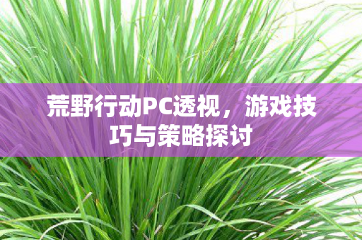 游戏技巧与策略探讨图片