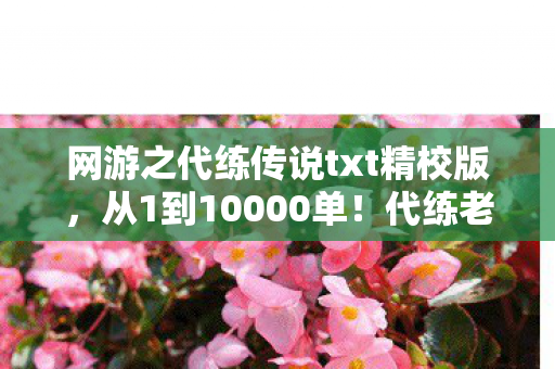 网游之代练传说txt精校版，从1到10000单！代练老炮退坑3年竟因这操作狂回坑？