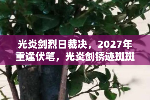 光炎剑烈日裁决，2027年重逢伏笔，光炎剑锈迹斑斑，回忆翻涌时鼻子一酸