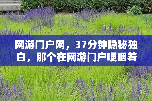 网游门户网，37分钟隐秘独白，那个在网游门户哽咽着说再见的凌晨