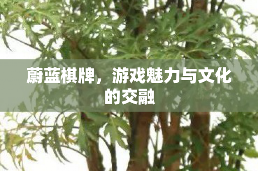 游戏魅力与文化的交融图片