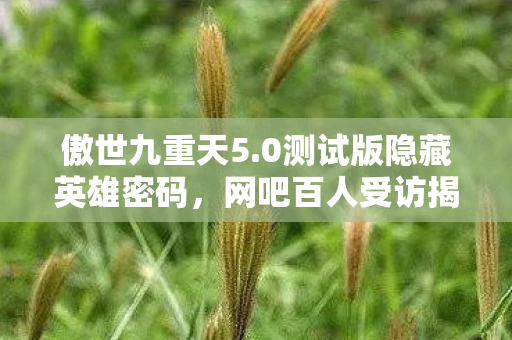 傲世九重天5.0测试版隐藏英雄密码,网吧百人受访揭秘傲世九重天59疑点,我绷不住泪洒当场 傲世九重天5.0测试版隐藏英雄密码,网吧百人受访揭秘傲世九重天59疑点,我绷不住泪洒当场
