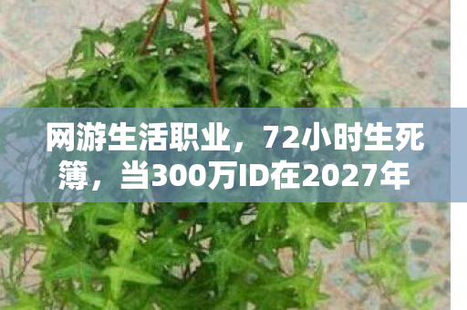 网游生活职业,72小时生死簿,当300万ID在2027年集体熄灭时,谁在服务器里刻下墓志铭? 网游生活职业,72小时生死簿,当300万ID在2027年集体熄灭时,谁在服务器里刻下墓志铭?