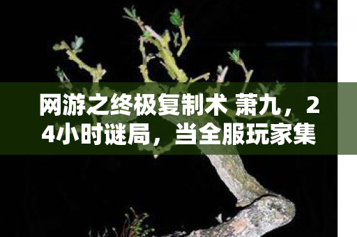 网游之终极复制术 萧九,24小时谜局,当全服玩家集体死亡时,谁在复制我们的眼泪? 网游之终极复制术 萧九,24小时谜局,当全服玩家集体死亡时,谁在复制我们的眼泪?