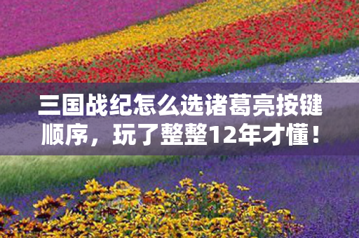 三国战纪怎么选诸葛亮按键顺序,玩了整整12年才懂!选诸葛亮竟藏3大隐藏玄机,你选对了吗? 三国战纪怎么选诸葛亮按键顺序,玩了整整12年才懂!选诸葛亮竟藏3大隐藏玄机,你选对了吗?