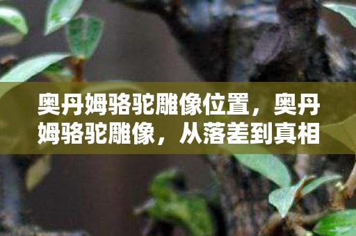 奥丹姆骆驼雕像位置,奥丹姆骆驼雕像,从落差到真相,笑着笑着,我竟哭着打开了游戏 奥丹姆骆驼雕像位置,奥丹姆骆驼雕像,从落差到真相,笑着笑着,我竟哭着打开了游戏