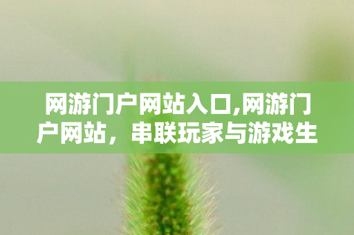 网游门户网站入口,网游门户网站,串联玩家与游戏生态的核心纽带 网游门户网站入口,网游门户网站,串联玩家与游戏生态的核心纽带