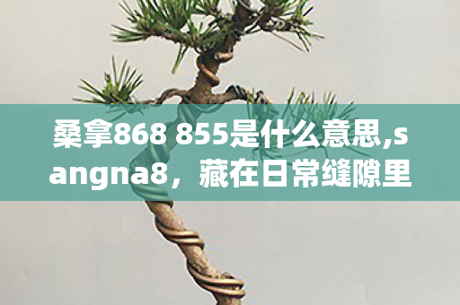 桑拿868 855是什么意思,sangna8,藏在日常缝隙里的生活微光收集者 桑拿868 855是什么意思,sangna8,藏在日常缝隙里的生活微光收集者
