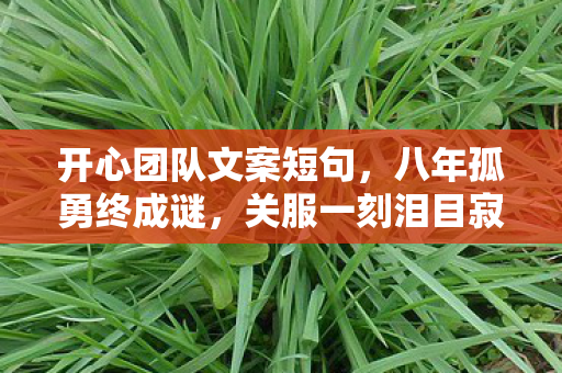 开心团队文案短句，八年孤勇终成谜，关服一刻泪目寂