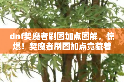 dnf契魔者刷图加点图解，惊爆！契魔者刷图加点竟藏着99%玩家不知的3大逆天秘密！