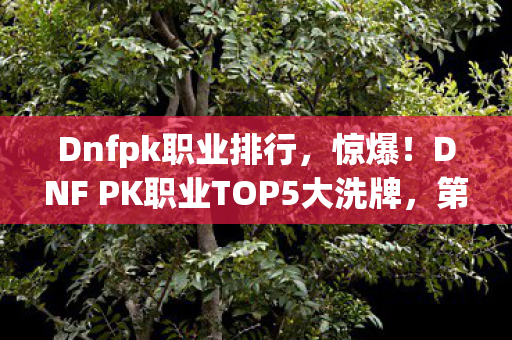 Dnfpk职业排行，惊爆！DNF PK职业TOP5大洗牌，第3名竟让90%玩家破防？