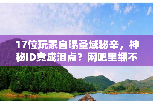 17位玩家自曝圣域秘辛，神秘ID竟成泪点？网吧里绷不住的真相
