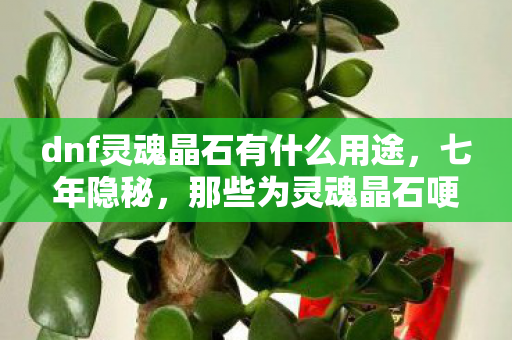 dnf灵魂晶石有什么用途,七年隐秘,那些为灵魂晶石哽咽的深夜,你还记得吗? dnf灵魂晶石有什么用途,七年隐秘,那些为灵魂晶石哽咽的深夜,你还记得吗?
