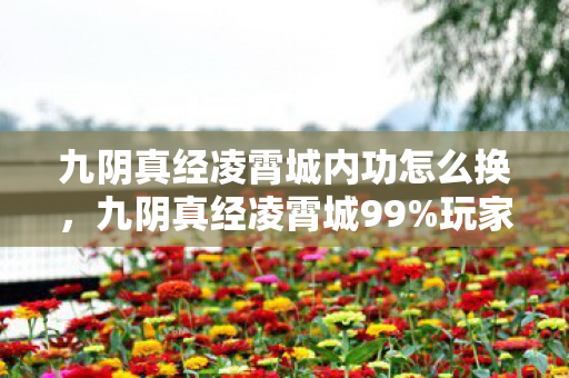 九阴真经凌霄城内功怎么换,九阴真经凌霄城99%玩家不知!隐藏数值暗改让战力暴跌30%? 九阴真经凌霄城内功怎么换,九阴真经凌霄城99%玩家不知!隐藏数值暗改让战力暴跌30%?