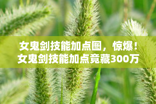 女鬼剑技能加点图，惊爆！女鬼剑技能加点竟藏300万隐情，结果让人吓一跳！
