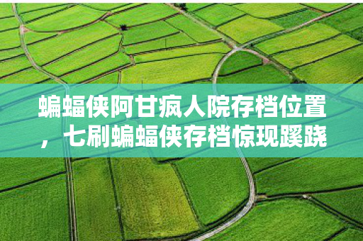 蝙蝠侠阿甘疯人院存档位置,七刷蝙蝠侠存档惊现蹊跷数据,后背发凉竟是策划十年布局 蝙蝠侠阿甘疯人院存档位置,七刷蝙蝠侠存档惊现蹊跷数据,后背发凉竟是策划十年布局