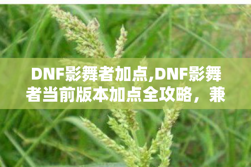 DNF影舞者加点,DNF影舞者当前版本加点全攻略，兼顾打团与搬砖的适配思路