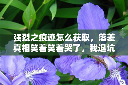 强烈之痕迹怎么获取,落差真相笑着笑着哭了,我退坑宣言竟成最强强烈之痕迹获取攻略 强烈之痕迹怎么获取,落差真相笑着笑着哭了,我退坑宣言竟成最强强烈之痕迹获取攻略