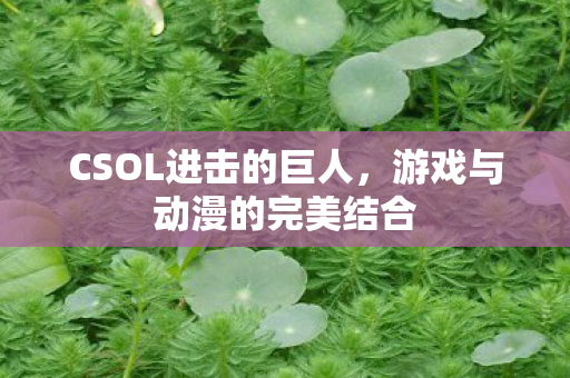 游戏与动漫的完美结合图片