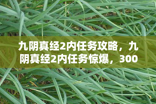 九阴真经2内任务攻略，九阴真经2内任务惊爆，300万预算背后藏着什么隐情？真相让人吓一跳！